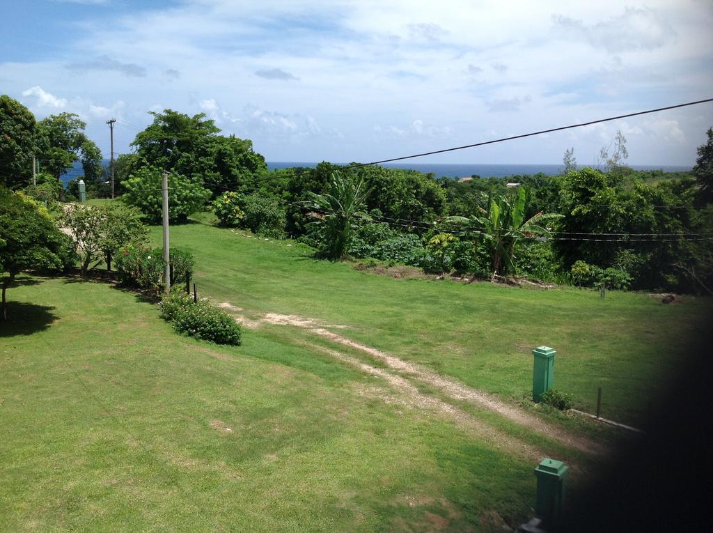 Chillax On Our Farm Guest House Ocho Rios Luaran gambar